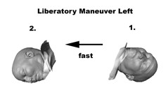 Liberatory Maneuver Left